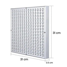 Lataa kuva Galleria-katseluun, Dual Basic Punavalopaneeli
